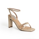 Leonor TC55
